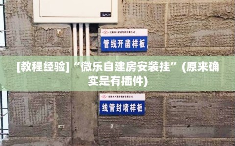 [教程经验]“微乐自建房安装挂”(原来确实是有插件)