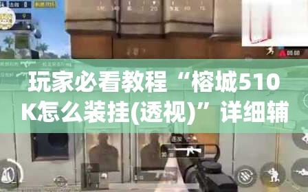 玩家必看教程“榕城510K怎么装挂(透视)”详细辅助透视