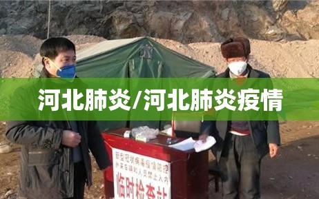 河北肺炎/河北肺炎疫情