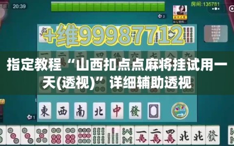 指定教程“山西扣点点麻将挂试用一天(透视)”详细辅助透视