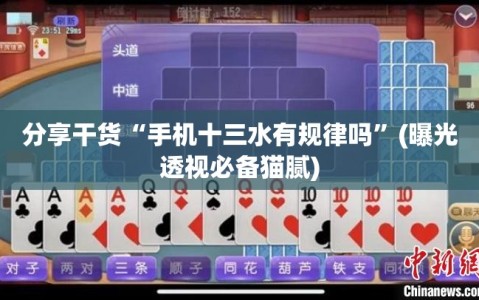 分享干货“手机十三水有规律吗”(曝光透视必备猫腻)