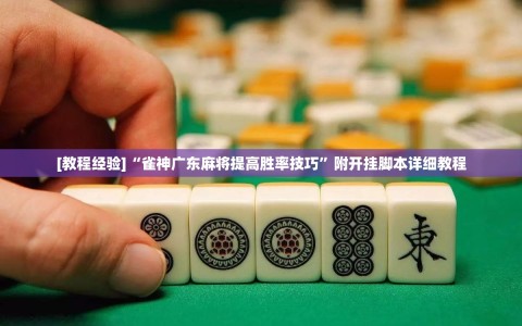 [教程经验]“雀神广东麻将提高胜率技巧”附开挂脚本详细教程