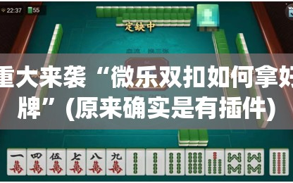 重大来袭“微乐双扣如何拿好牌”(原来确实是有插件)