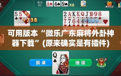 可用版本“微乐广东麻将外卦神器下载”(原来确实是有插件)