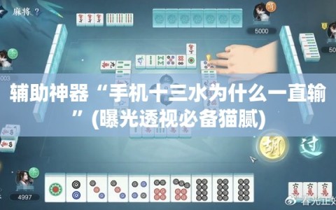 辅助神器“手机十三水为什么一直输”(曝光透视必备猫腻)