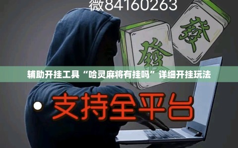辅助开挂工具“哈灵麻将有挂吗”详细开挂玩法