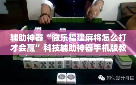 辅助神器“微乐福建麻将怎么打才会赢”科技辅助神器手机版教程