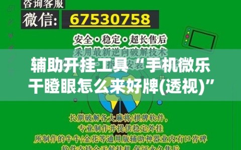 辅助开挂工具“手机微乐干瞪眼怎么来好牌(透视)”详细辅助透视