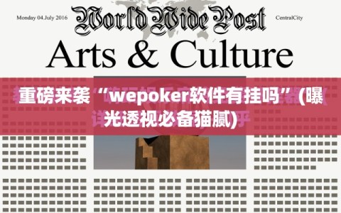 重磅来袭“wepoker软件有挂吗”(曝光透视必备猫腻)