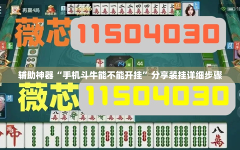 辅助神器“手机斗牛能不能开挂”分享装挂详细步骤