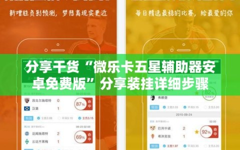 分享干货“微乐卡五星辅助器安卓免费版”分享装挂详细步骤