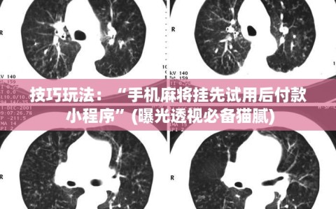 技巧玩法：“手机麻将挂先试用后付款 小程序”(曝光透视必备猫腻)