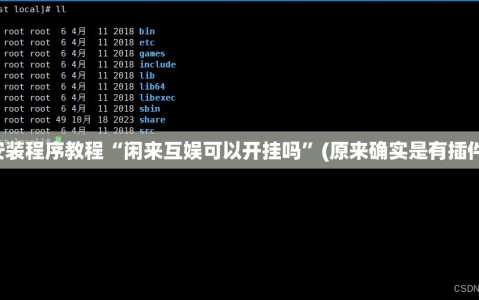 安装程序教程“闲来互娱可以开挂吗”(原来确实是有插件)