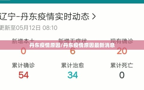 丹东疫情原因/丹东疫情原因最新消息