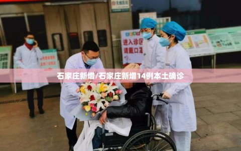 石家庄新增/石家庄新增14例本土确诊