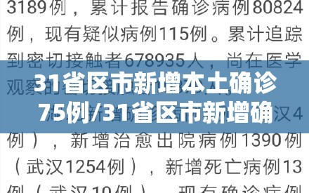 31省区市新增本土确诊75例/31省区市新增确诊54例 本土41例