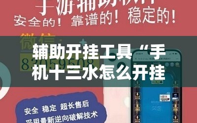 辅助开挂工具“手机十三水怎么开挂”科技辅助神器手机版教程