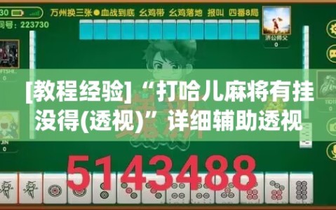 [教程经验]“打哈儿麻将有挂没得(透视)”详细辅助透视