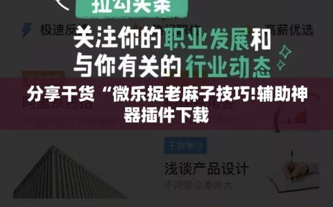分享干货“微乐捉老麻子技巧!辅助神器插件下载