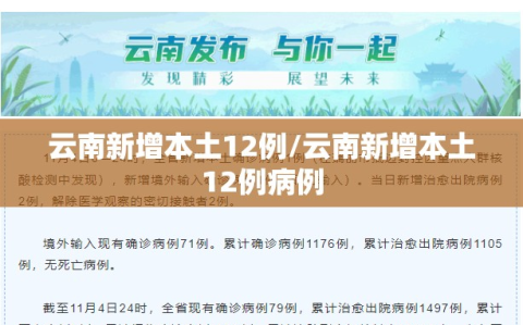 云南新增本土12例/云南新增本土12例病例