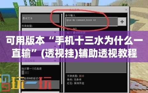 可用版本“手机十三水为什么一直输”(透视挂)辅助透视教程