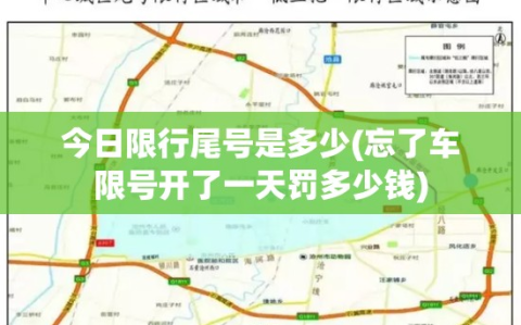 今日限行尾号是多少(忘了车限号开了一天罚多少钱)