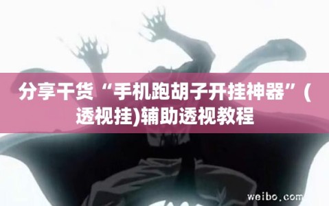 分享干货“手机跑胡子开挂神器”(透视挂)辅助透视教程