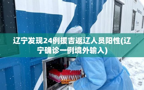 辽宁发现24例援吉返辽人员阳性(辽宁确诊一例境外输入)