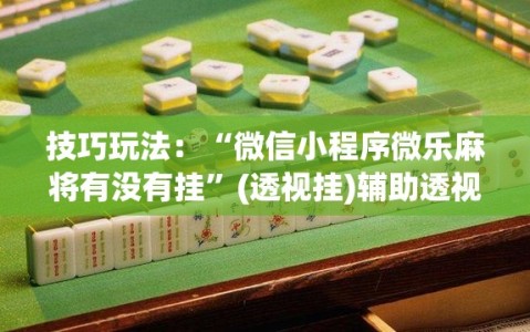 技巧玩法：“微信小程序微乐麻将有没有挂”(透视挂)辅助透视教程