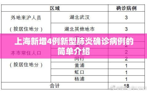 上海新增4例新型肺炎确诊病例的简单介绍