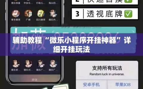 辅助教程“微乐小程序开挂神器”详细开挂玩法