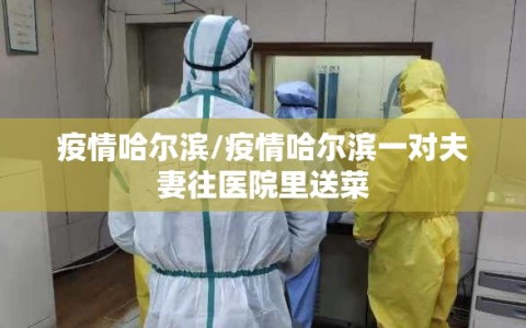疫情哈尔滨/疫情哈尔滨一对夫妻往医院里送菜