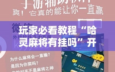 玩家必看教程“哈灵麻将有挂吗”开挂详细安装教程
