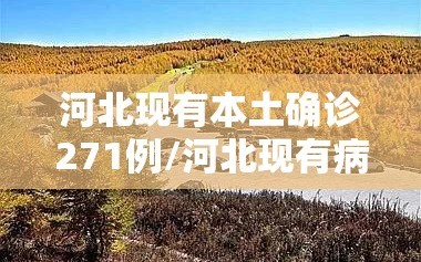河北现有本土确诊271例/河北现有病例127例
