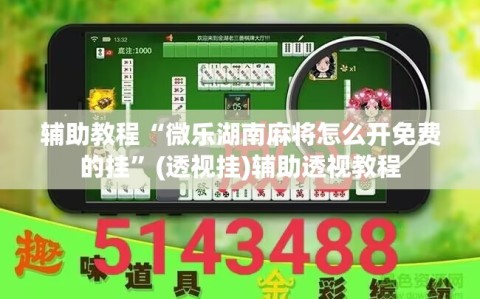 辅助教程“微乐湖南麻将怎么开免费的挂”(透视挂)辅助透视教程