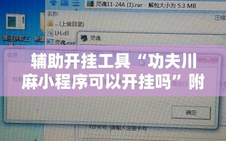 辅助开挂工具“功夫川麻小程序可以开挂吗”附开挂脚本详细教程