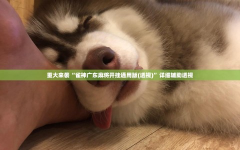 重大来袭“雀神广东麻将开挂通用版(透视)”详细辅助透视