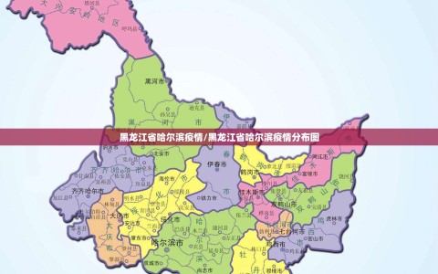 黑龙江省哈尔滨疫情/黑龙江省哈尔滨疫情分布图