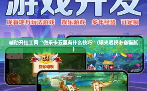 辅助开挂工具“微乐卡五星有什么技巧”(曝光透视必备猫腻)