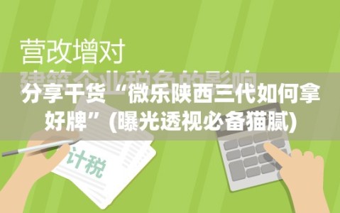 分享干货“微乐陕西三代如何拿好牌”(曝光透视必备猫腻)