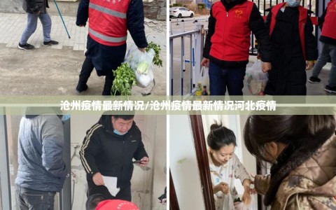 沧州疫情最新情况/沧州疫情最新情况河北疫情