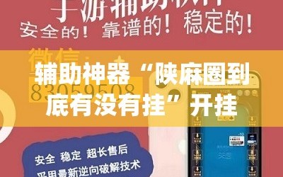 辅助神器“陕麻圈到底有没有挂”开挂(透视)辅助神器