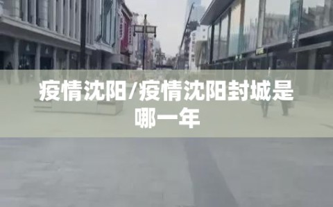 疫情沈阳/疫情沈阳封城是哪一年