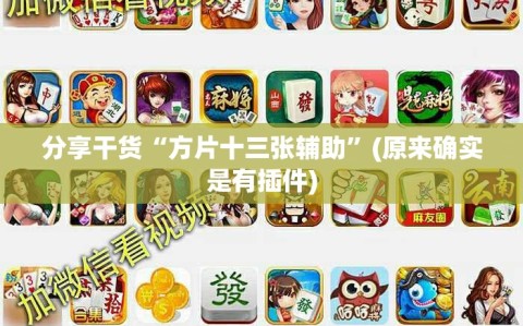 分享干货“方片十三张辅助”(原来确实是有插件)