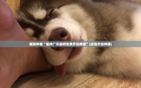辅助神器“雀神广东麻将免费开挂教程”(必胜开挂神器)