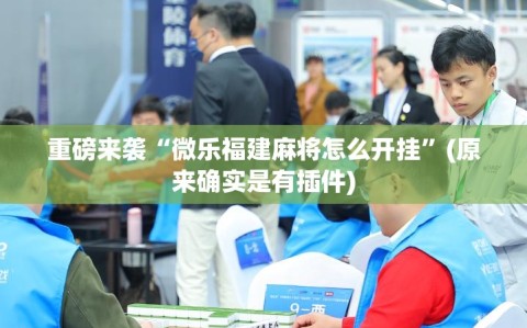 重磅来袭“微乐福建麻将怎么开挂”(原来确实是有插件)
