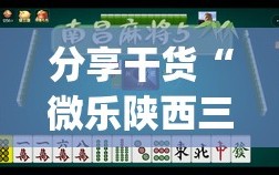 分享干货“微乐陕西三代如何拿好牌”开挂(透视)辅助神器