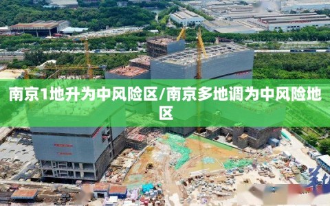 南京1地升为中风险区/南京多地调为中风险地区