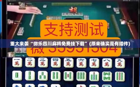 重大来袭“微乐四川麻将免费挂下载”(原来确实是有插件)