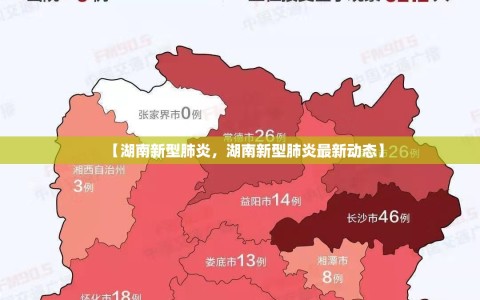 【湖南新型肺炎，湖南新型肺炎最新动态】
